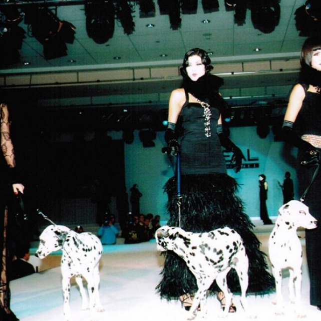 VİDEO VE FOTOĞRAF GALERİSİ